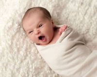 album2/12mis-004.jpg