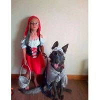 album2/12mis-037.jpg