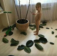 album2/12mis-044.jpg
