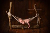 album2/12mis-049.jpg