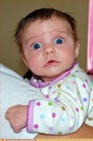 album8/12mis-236.jpg