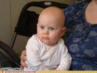 album8/12mis-270.jpg