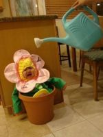 album8/12mis-328.jpg
